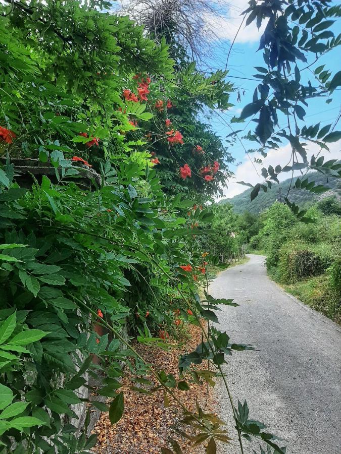 Sailor'S Rustic House Villa เวียร์ปาซาร์ ภายนอก รูปภาพ