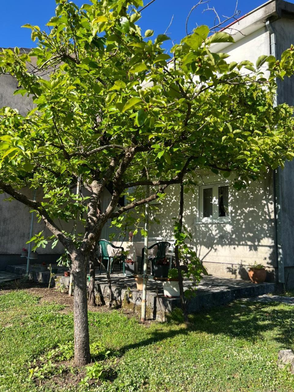 Sailor'S Rustic House Villa เวียร์ปาซาร์ ภายนอก รูปภาพ